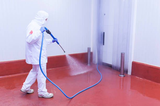 Best Soft Washing  in Darien, WI