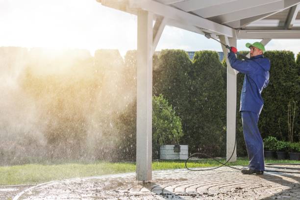 Best Boat and Dock Cleaning  in Darien, WI